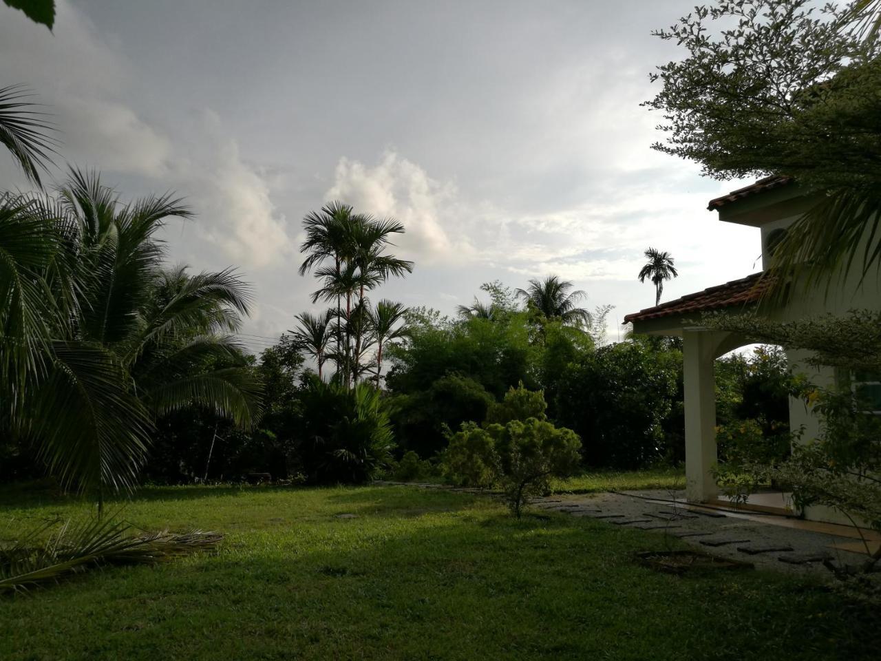 Guesthouse Dragon Place Taiping Exterior photo